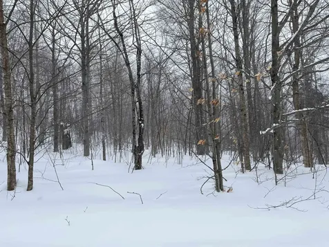 2924 New Duck Pond Road Sheffield VT 05866