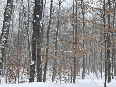 2924 New Duck Pond Road Sheffield VT 05866