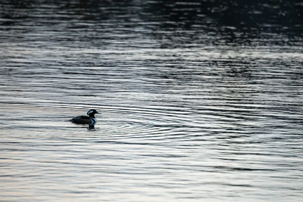 22 Brookridge Drive Grantham NH 03753