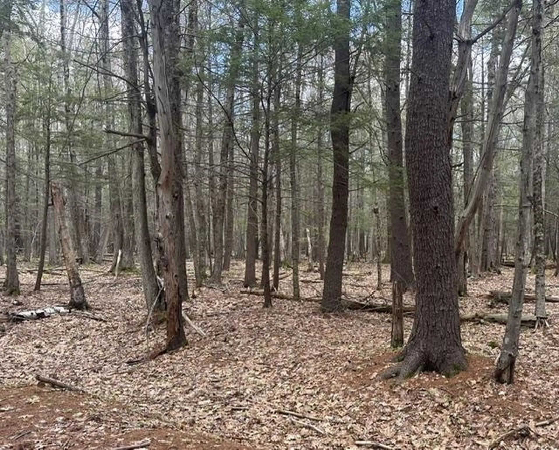 0 Tug Mountain Road Orange NH 03741