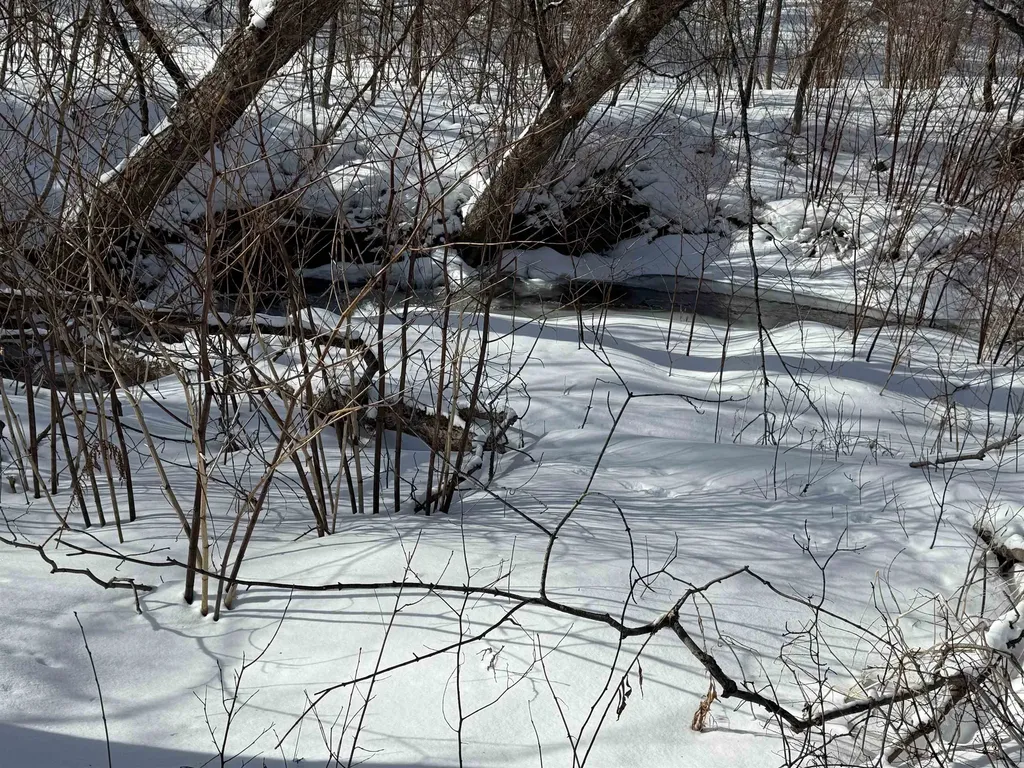 1998 Campbell Road Bethel VT 05032