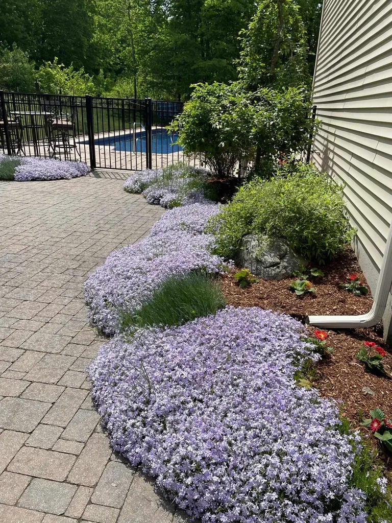 5 Thistle Lane Hooksett NH 03106