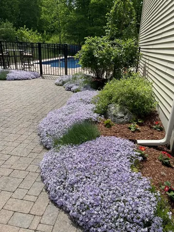 5 Thistle Lane Hooksett NH 03106