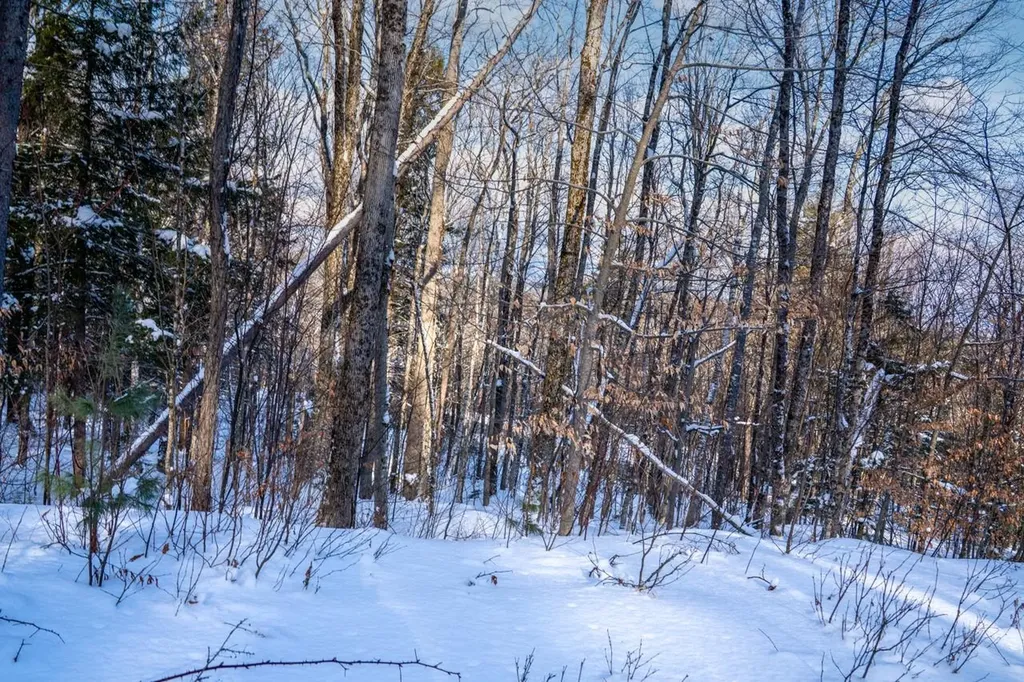 56 Lower Taylor Hill Road Winhall VT 05340