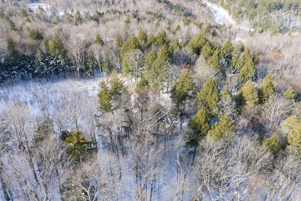 56 Lower Taylor Hill Road Winhall VT 05340