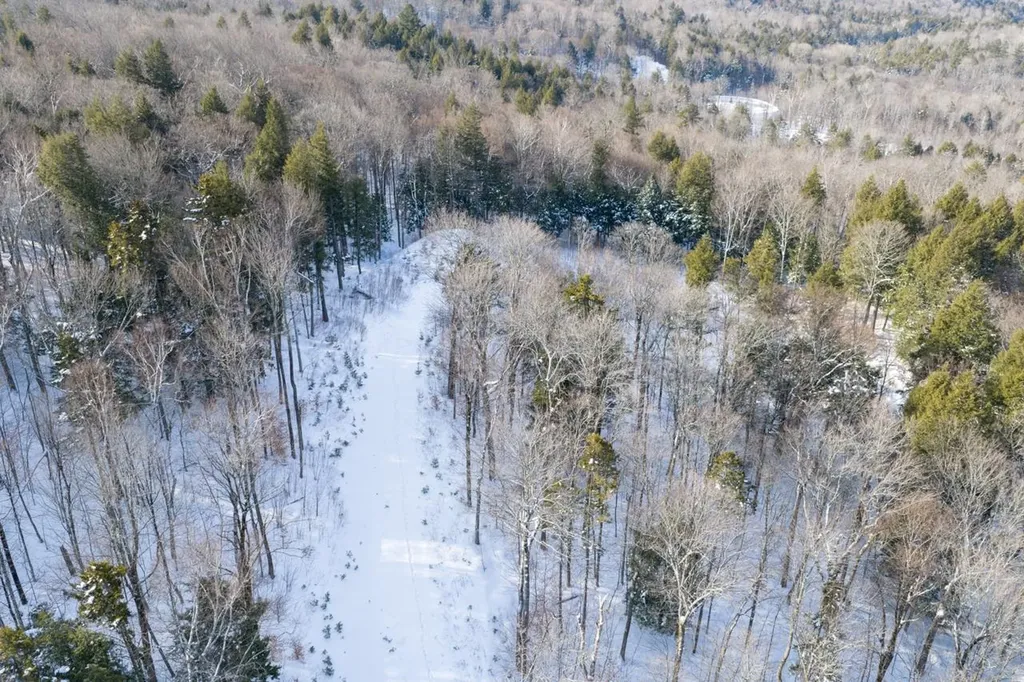 56 Lower Taylor Hill Road Winhall VT 05340