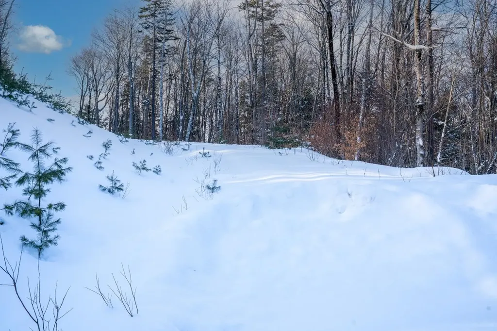 56 Lower Taylor Hill Road Winhall VT 05340