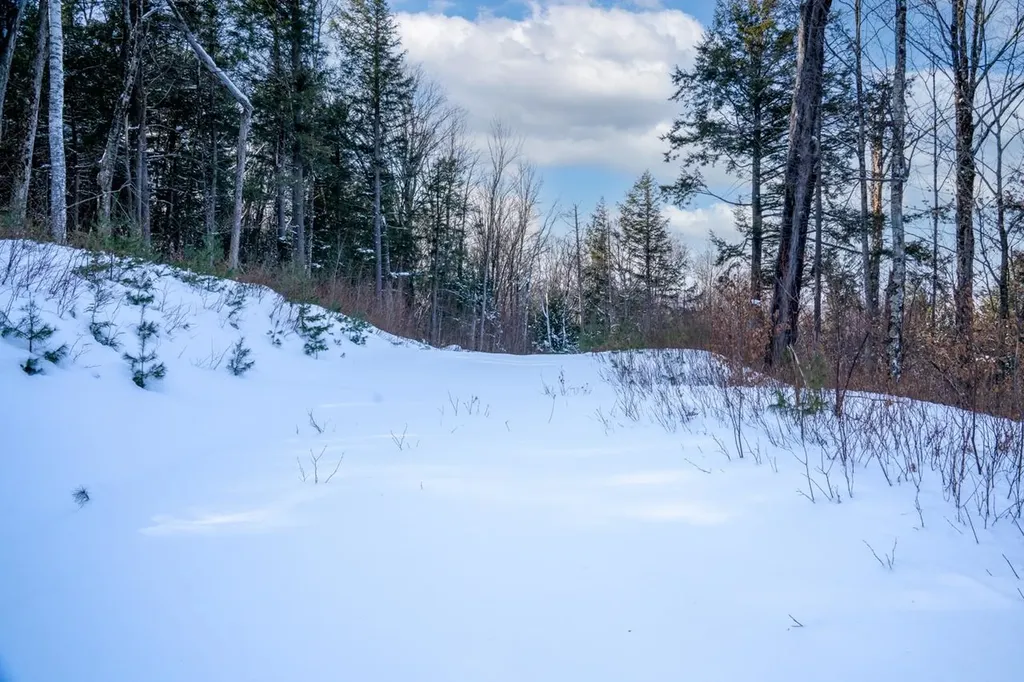 56 Lower Taylor Hill Road Winhall VT 05340