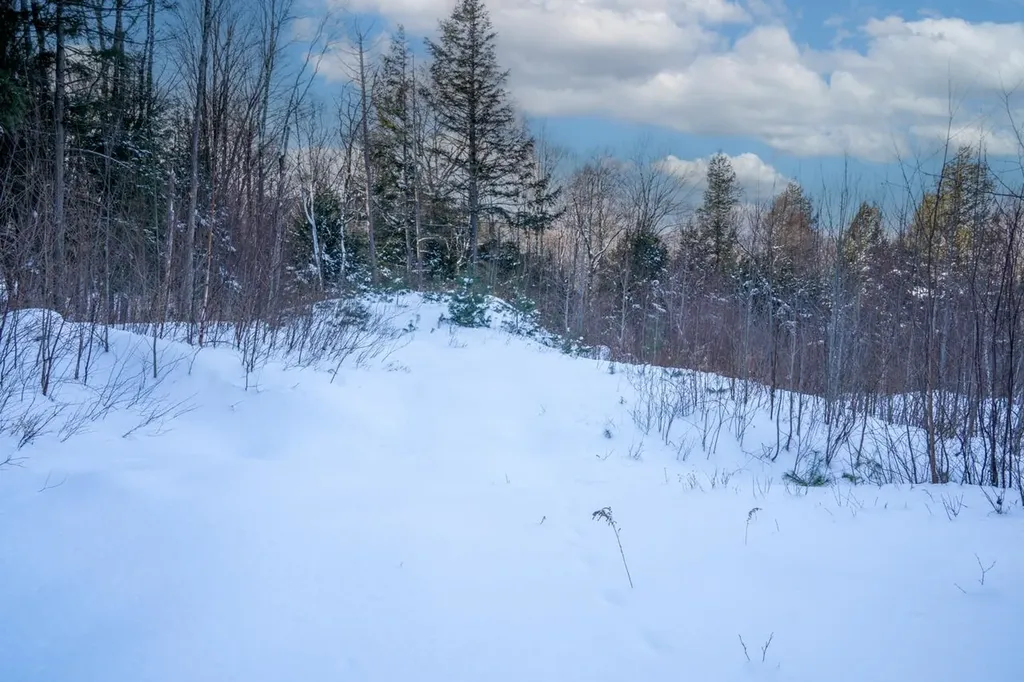 56 Lower Taylor Hill Road Winhall VT 05340