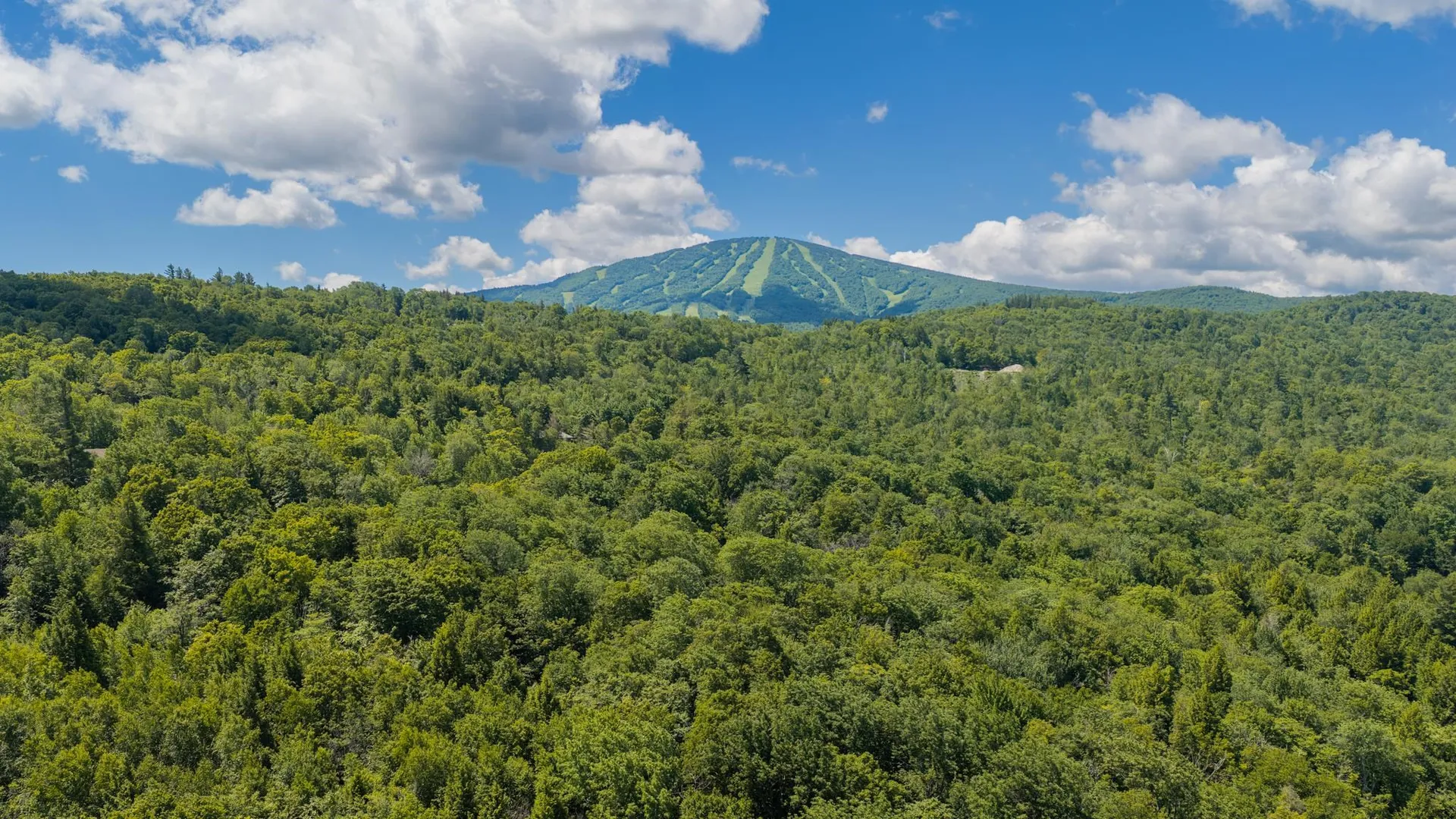 56 Lower Taylor Hill Road Winhall VT 05340