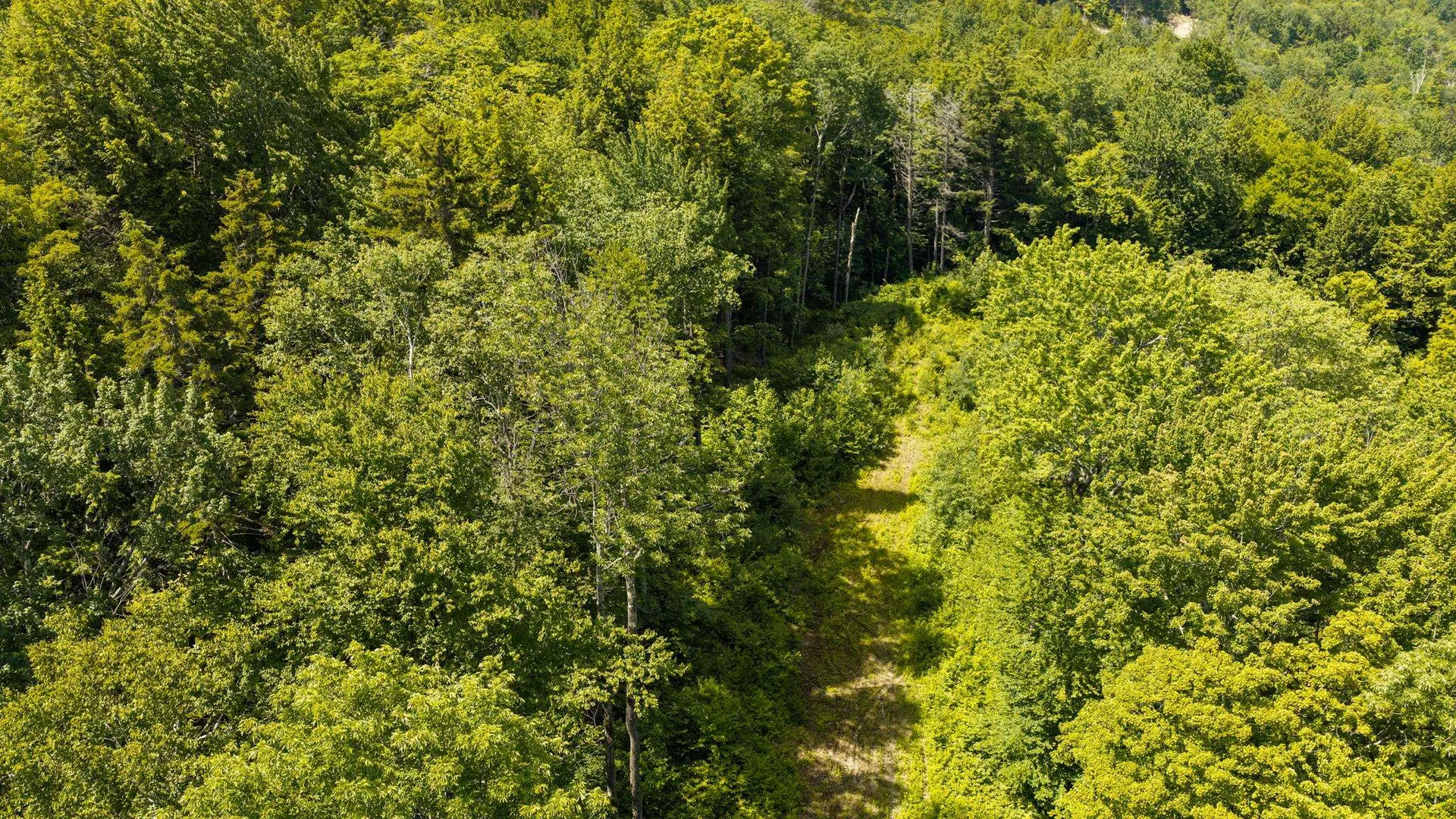 56 Lower Taylor Hill Road Winhall VT 05340