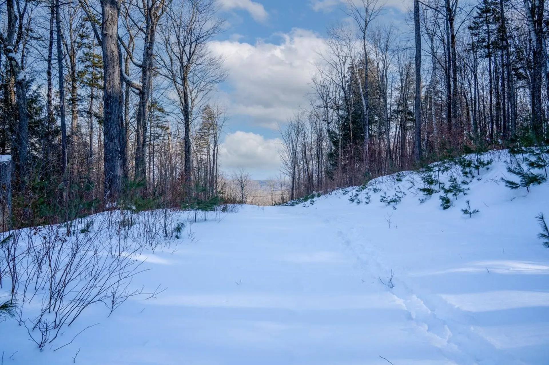 56 Lower Taylor Hill Road Winhall VT 05340