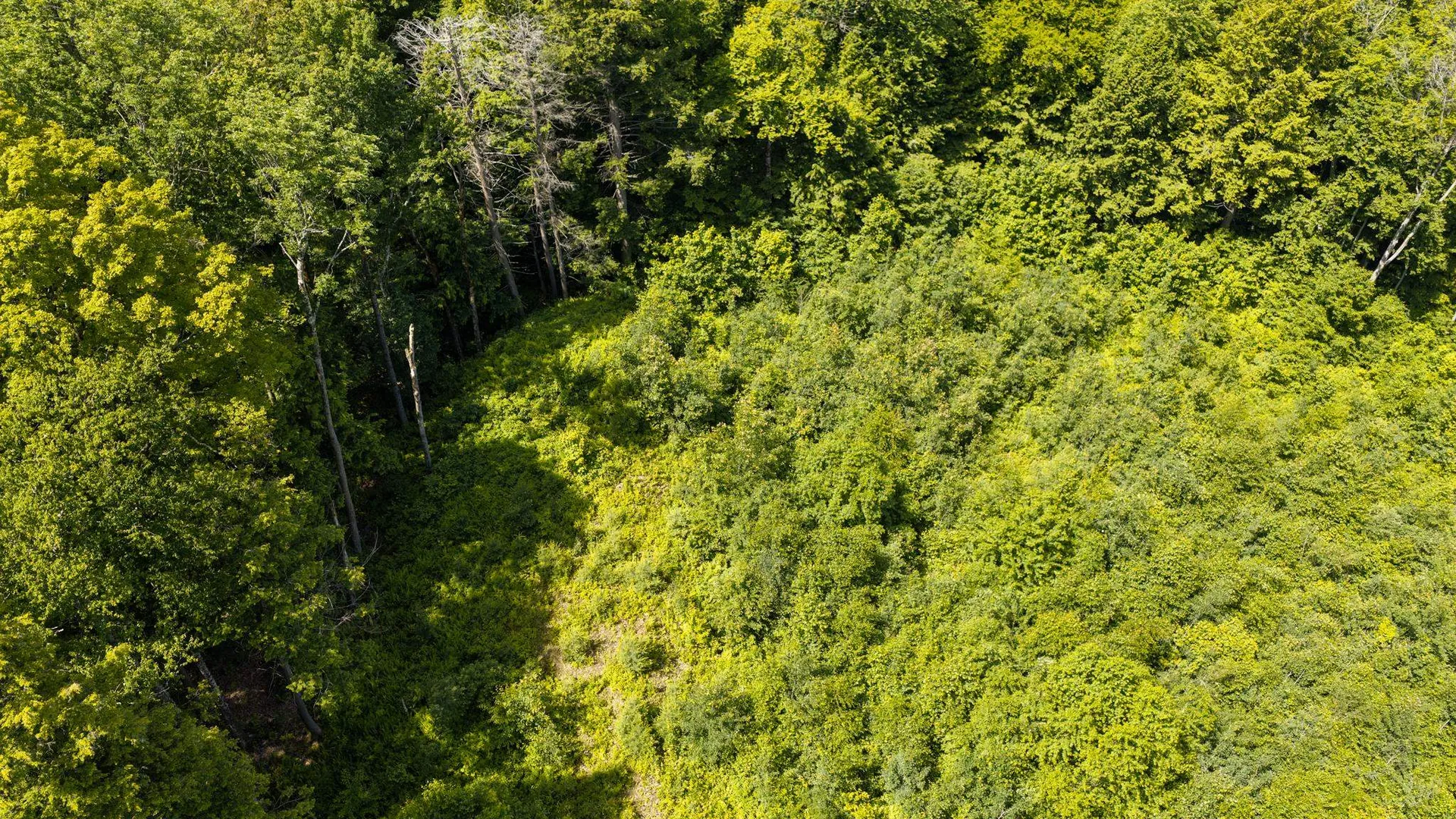 56 Lower Taylor Hill Road Winhall VT 05340