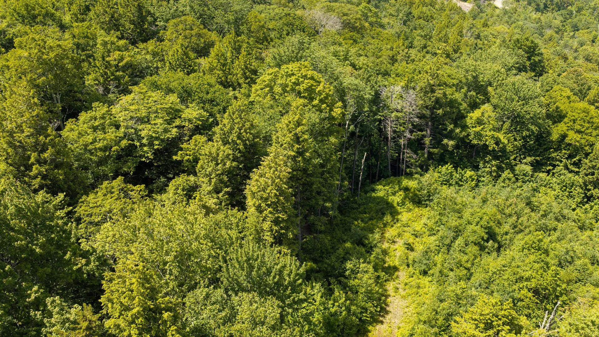 56 Lower Taylor Hill Road Winhall VT 05340