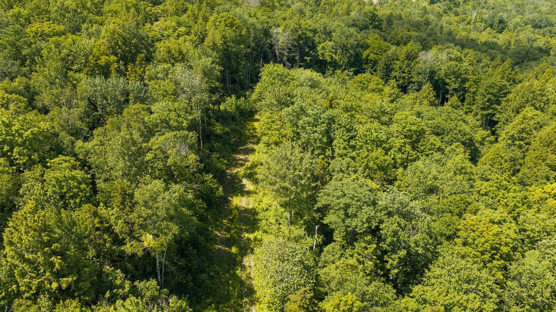 56 Lower Taylor Hill Road Winhall VT 05340