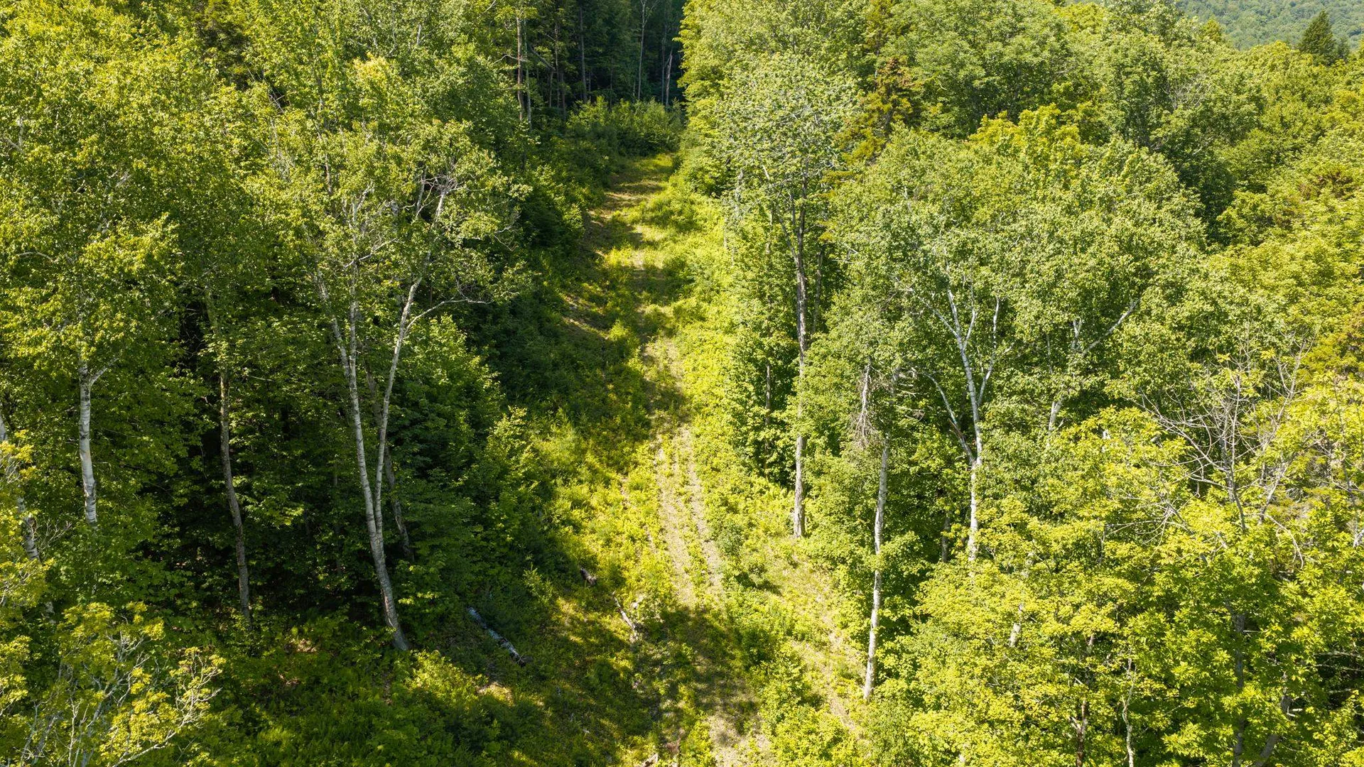 56 Lower Taylor Hill Road Winhall VT 05340