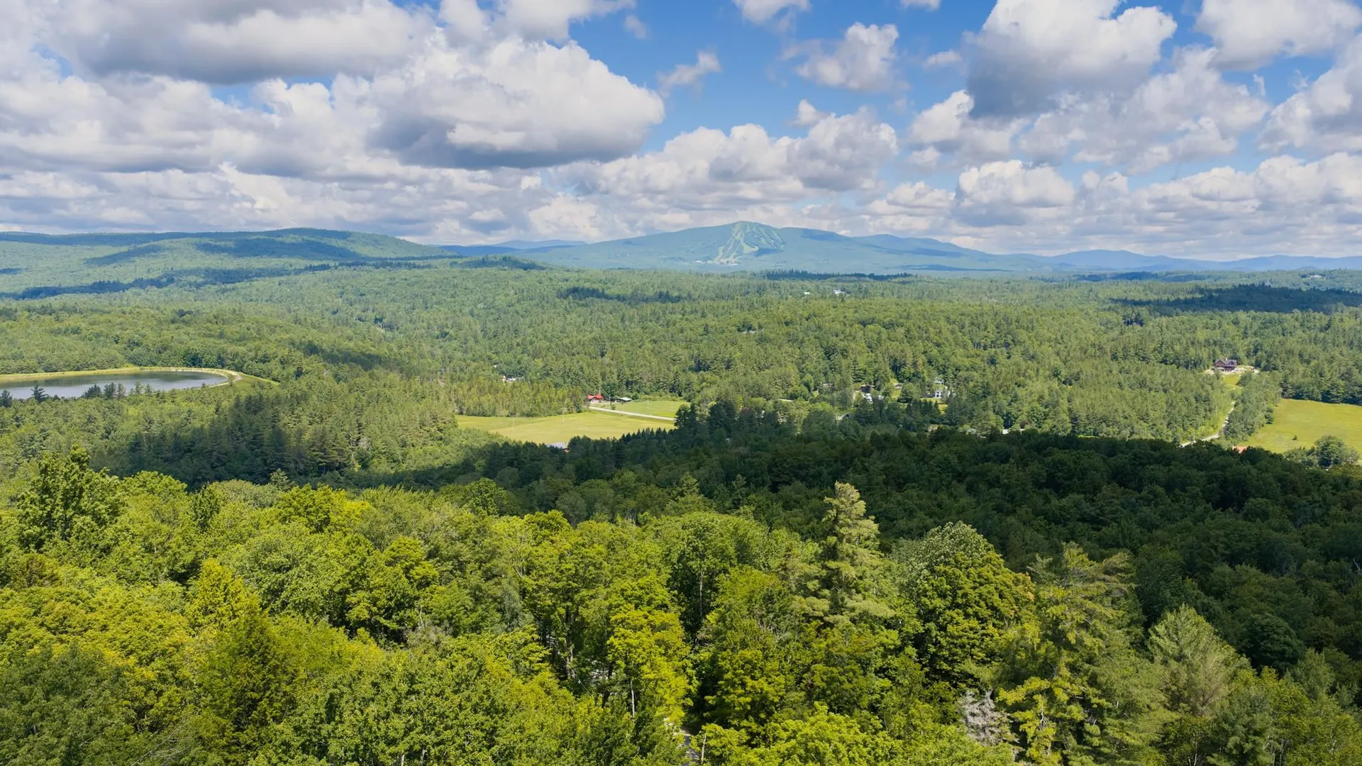 56 Lower Taylor Hill Road Winhall VT 05340