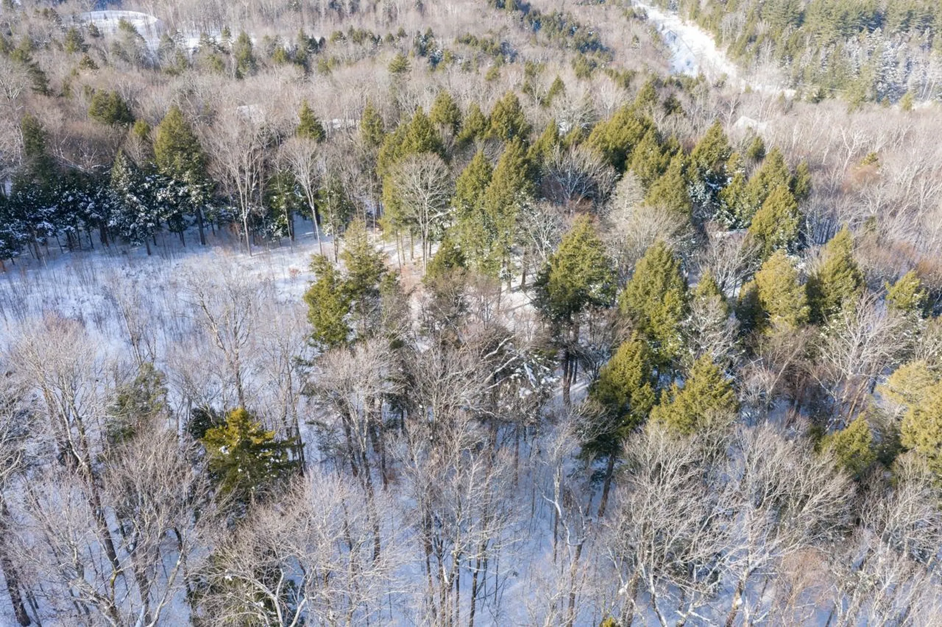 56 Lower Taylor Hill Road Winhall VT 05340