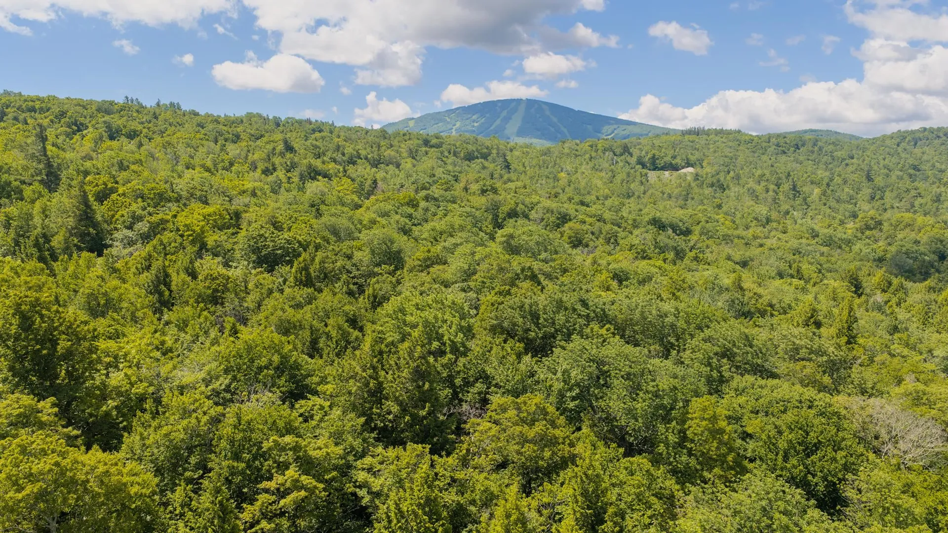 56 Lower Taylor Hill Road Winhall VT 05340
