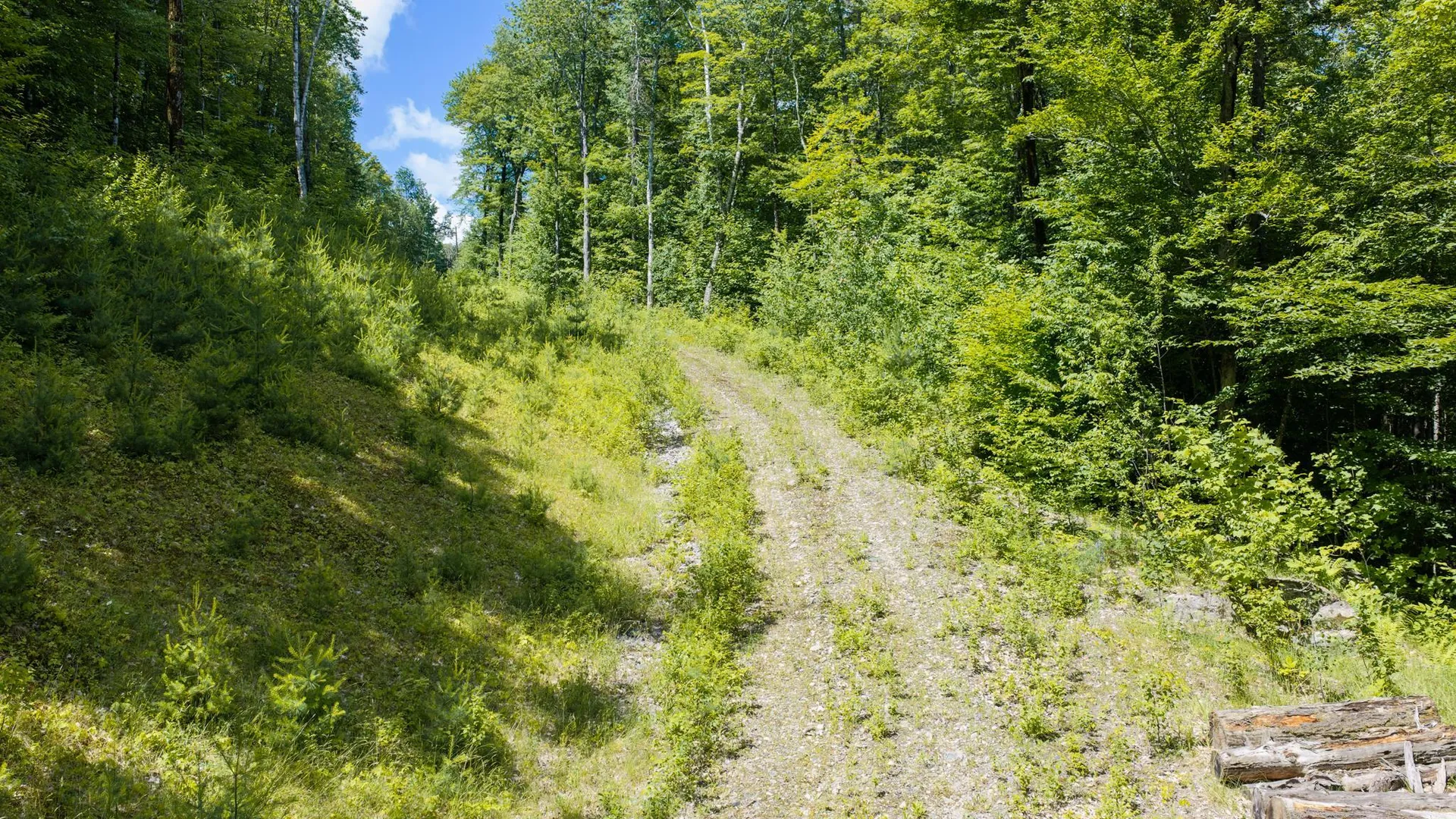 56 Lower Taylor Hill Road Winhall VT 05340