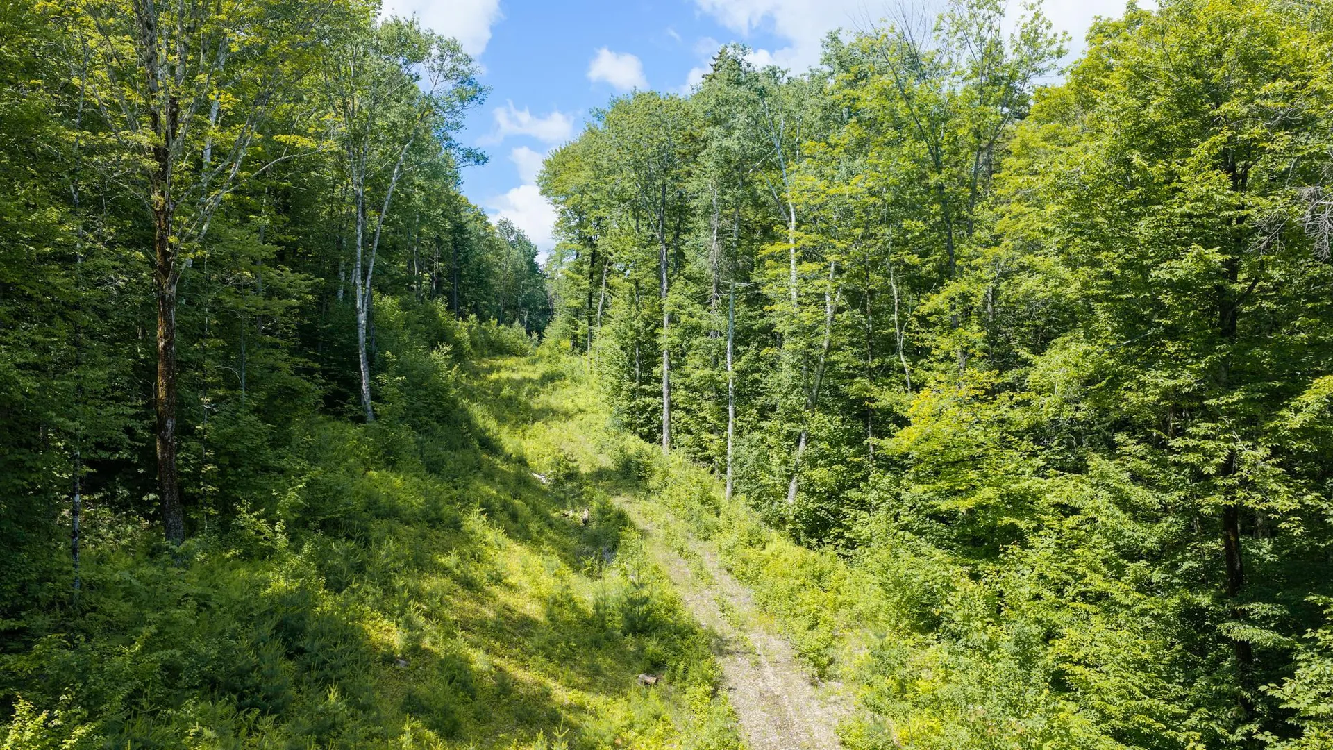 56 Lower Taylor Hill Road Winhall VT 05340