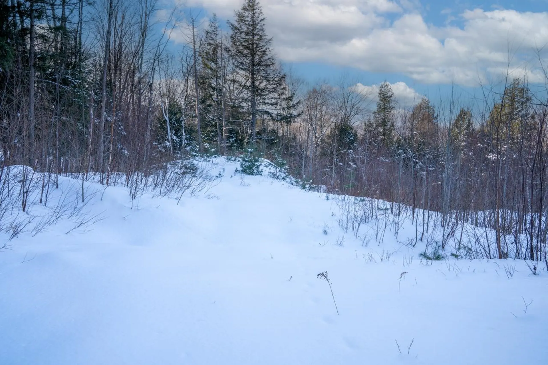 56 Lower Taylor Hill Road Winhall VT 05340