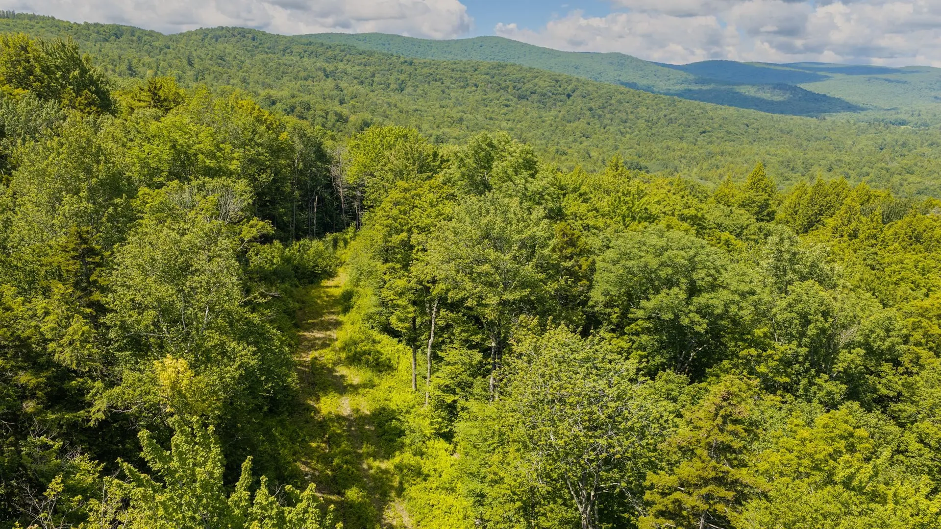 56 Lower Taylor Hill Road Winhall VT 05340