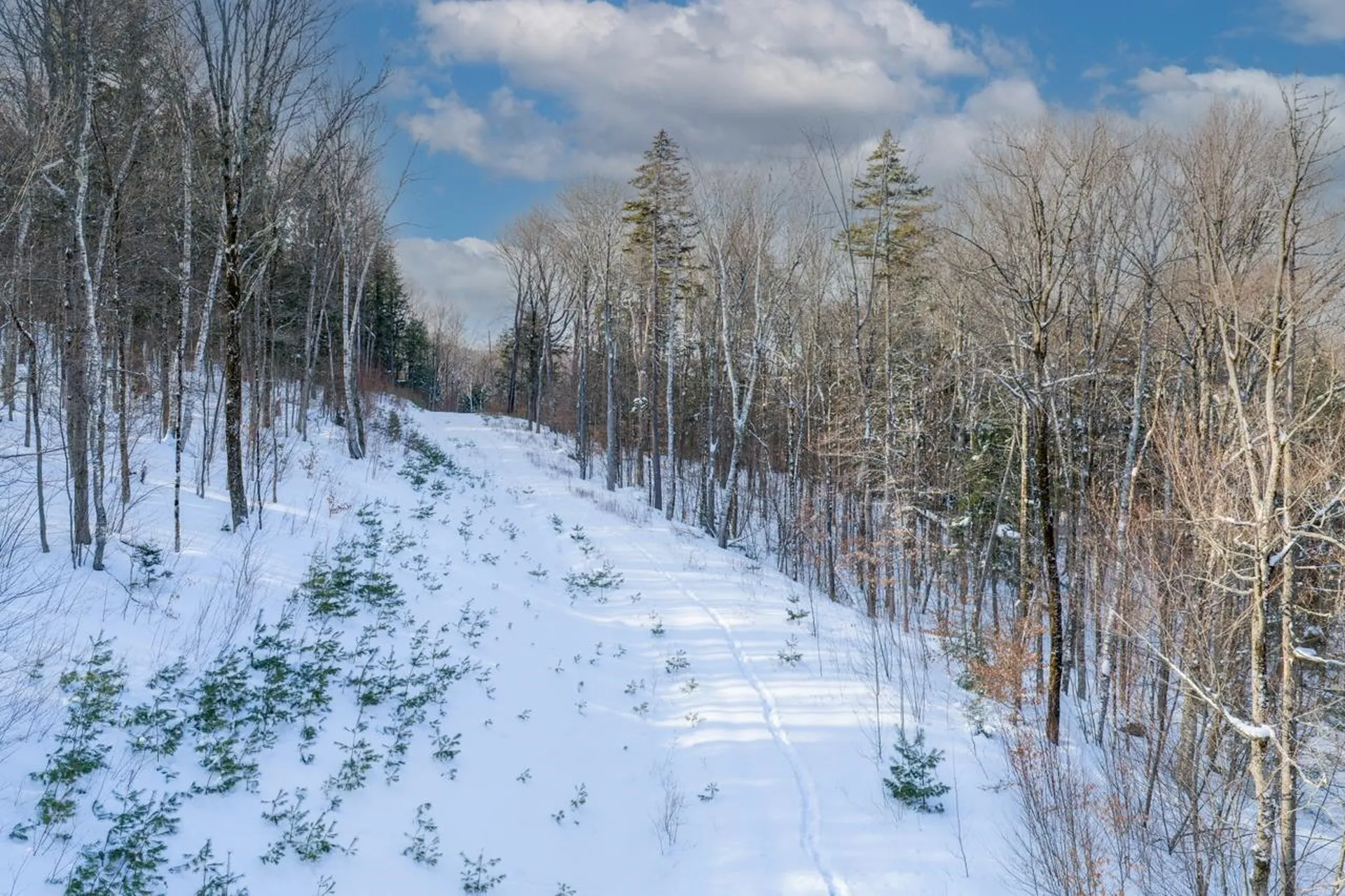 56 Lower Taylor Hill Road Winhall VT 05340