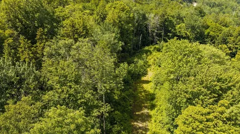 56 Lower Taylor Hill Road Winhall VT 05340