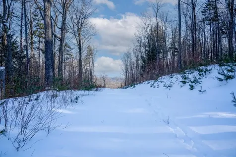 56 Lower Taylor Hill Road Winhall VT 05340