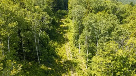 56 Lower Taylor Hill Road Winhall VT 05340