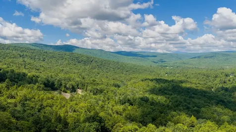 56 Lower Taylor Hill Road Winhall VT 05340