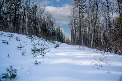 56 Lower Taylor Hill Road Winhall VT 05340