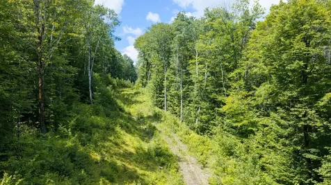 56 Lower Taylor Hill Road Winhall VT 05340