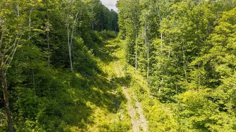 56 Lower Taylor Hill Road Winhall VT 05340