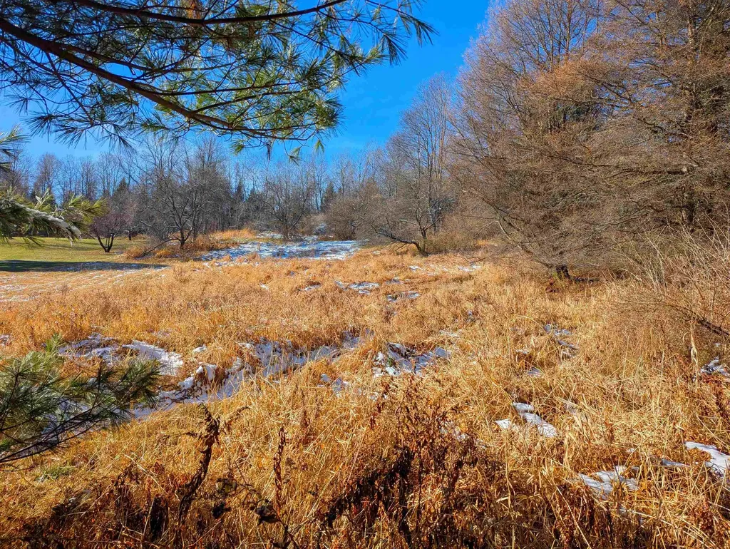 00 Pudding Hill Road Lyndon VT 05849