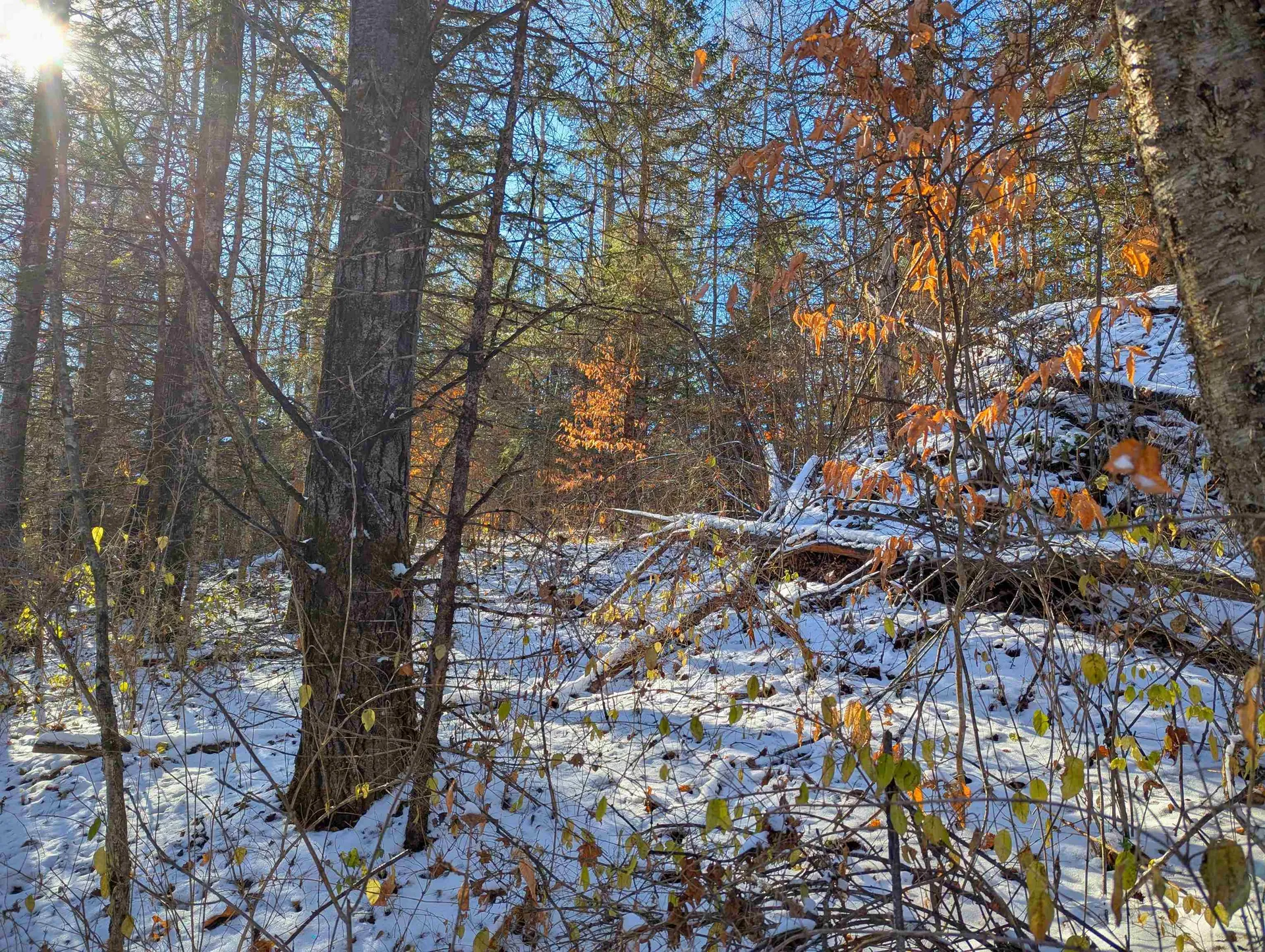 00 Pudding Hill Road Lyndon VT 05849