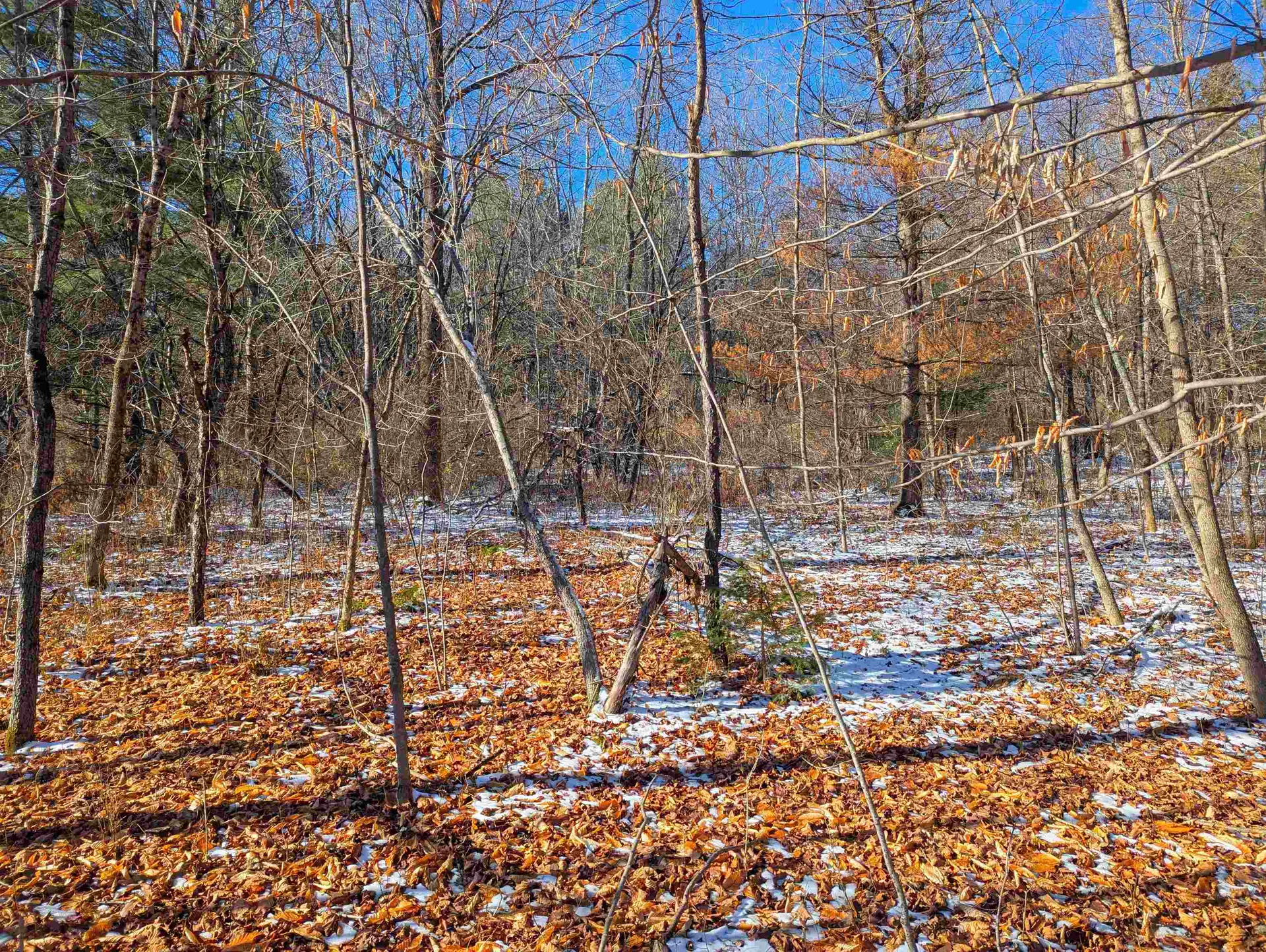 00 Pudding Hill Road Lyndon VT 05849