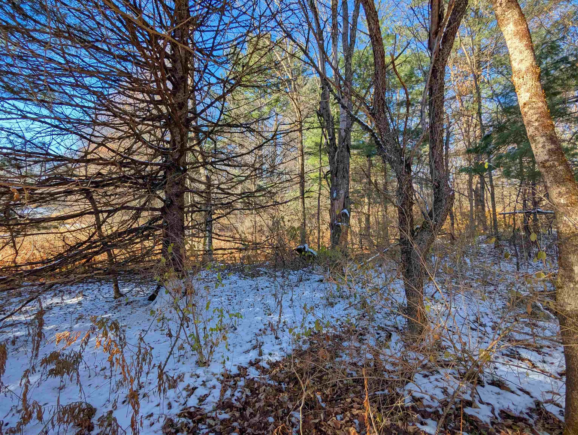 00 Pudding Hill Road Lyndon VT 05849