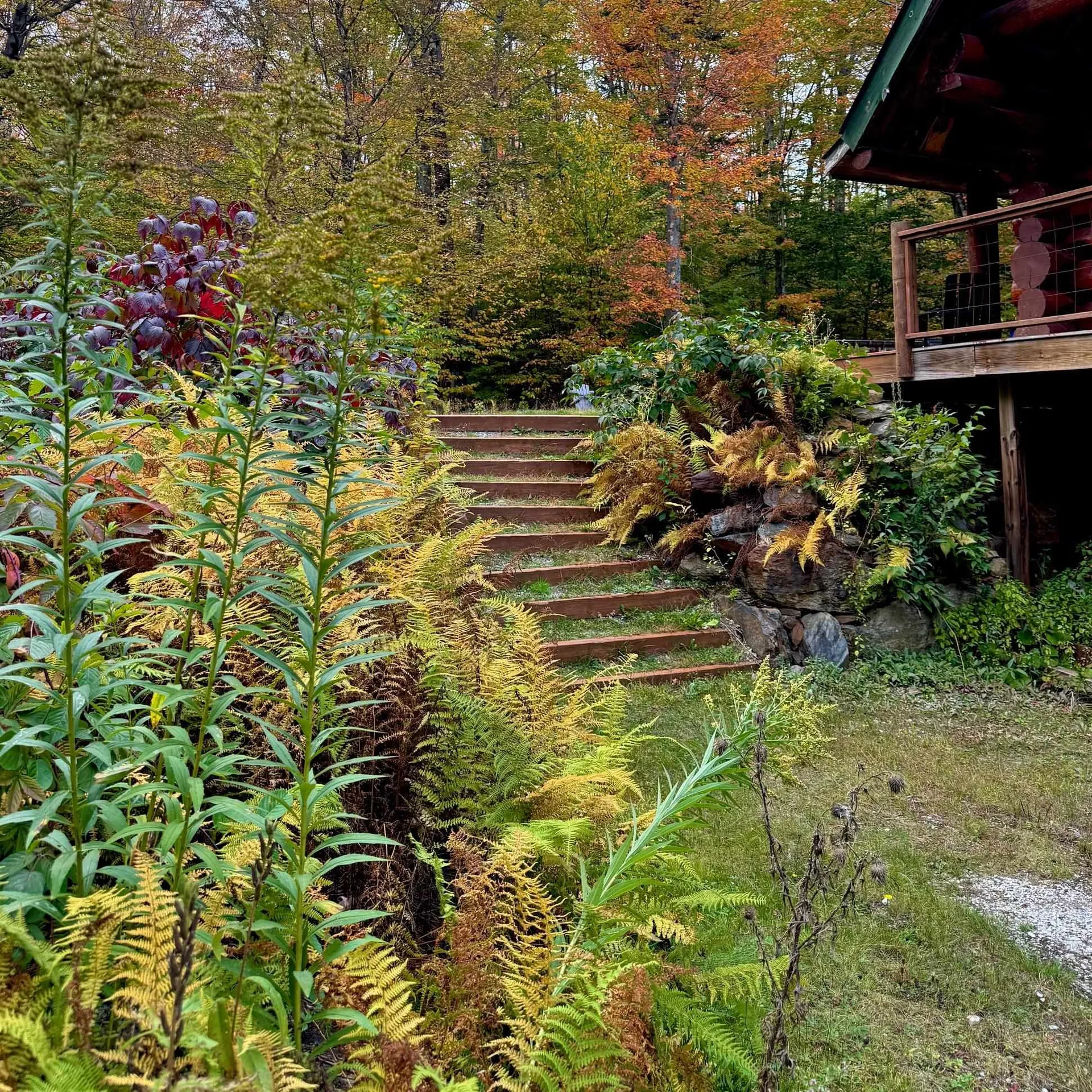 660 Patch Hill Road Mount Holly VT 05758