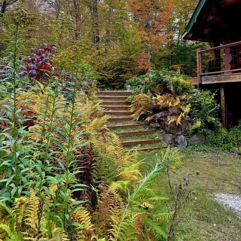 660 Patch Hill Road Mount Holly VT 05758