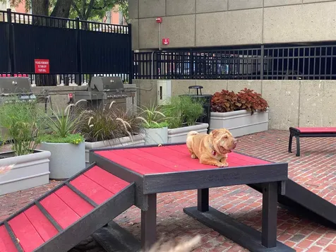 875 Elm Street Manchester NH 03101