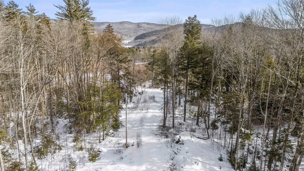 101 Catherine Road Jamaica VT 05343