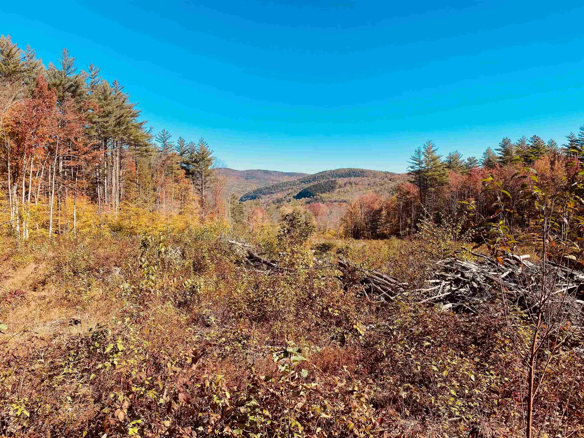 101 Catherine Road Jamaica VT 05343