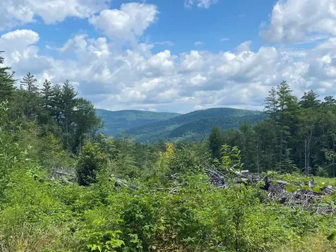 101 Catherine Road Jamaica VT 05343