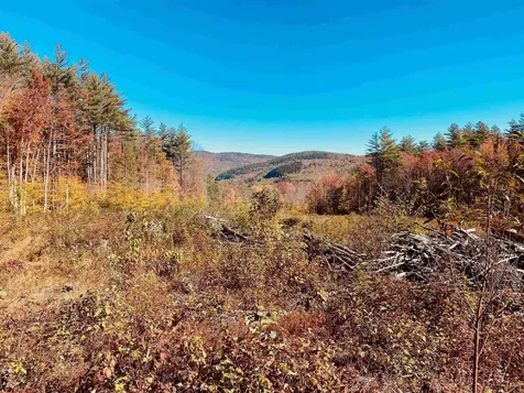 101 Catherine Road Jamaica VT 05343