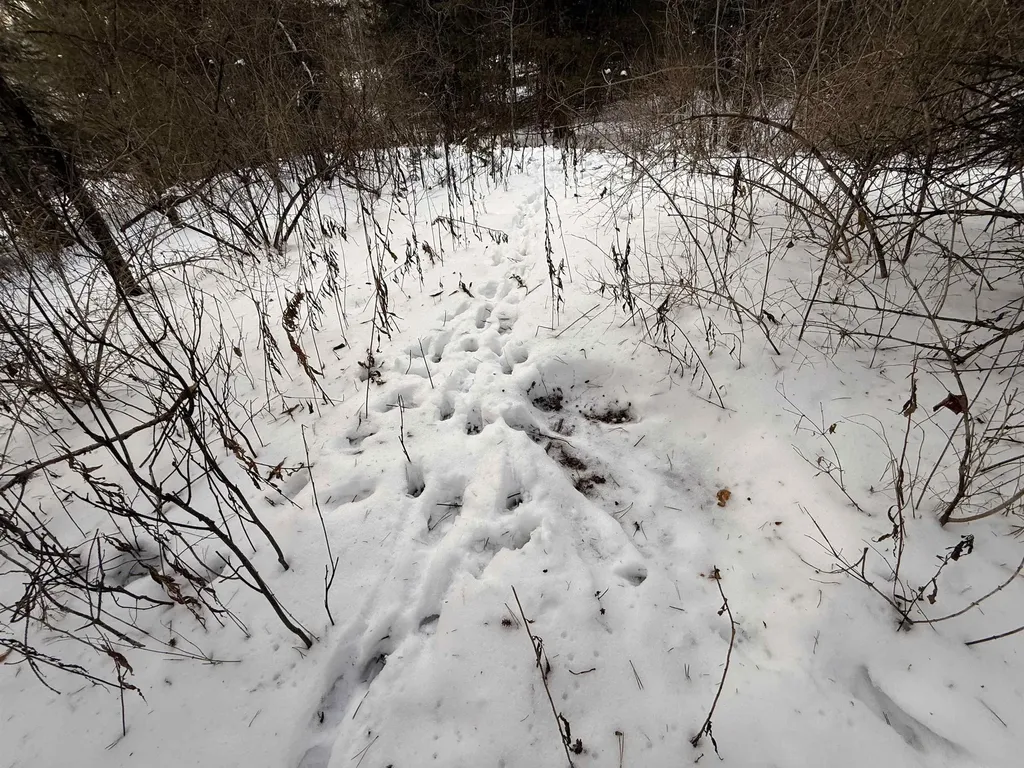 000 Darling Hill Road Lyndon VT 05849