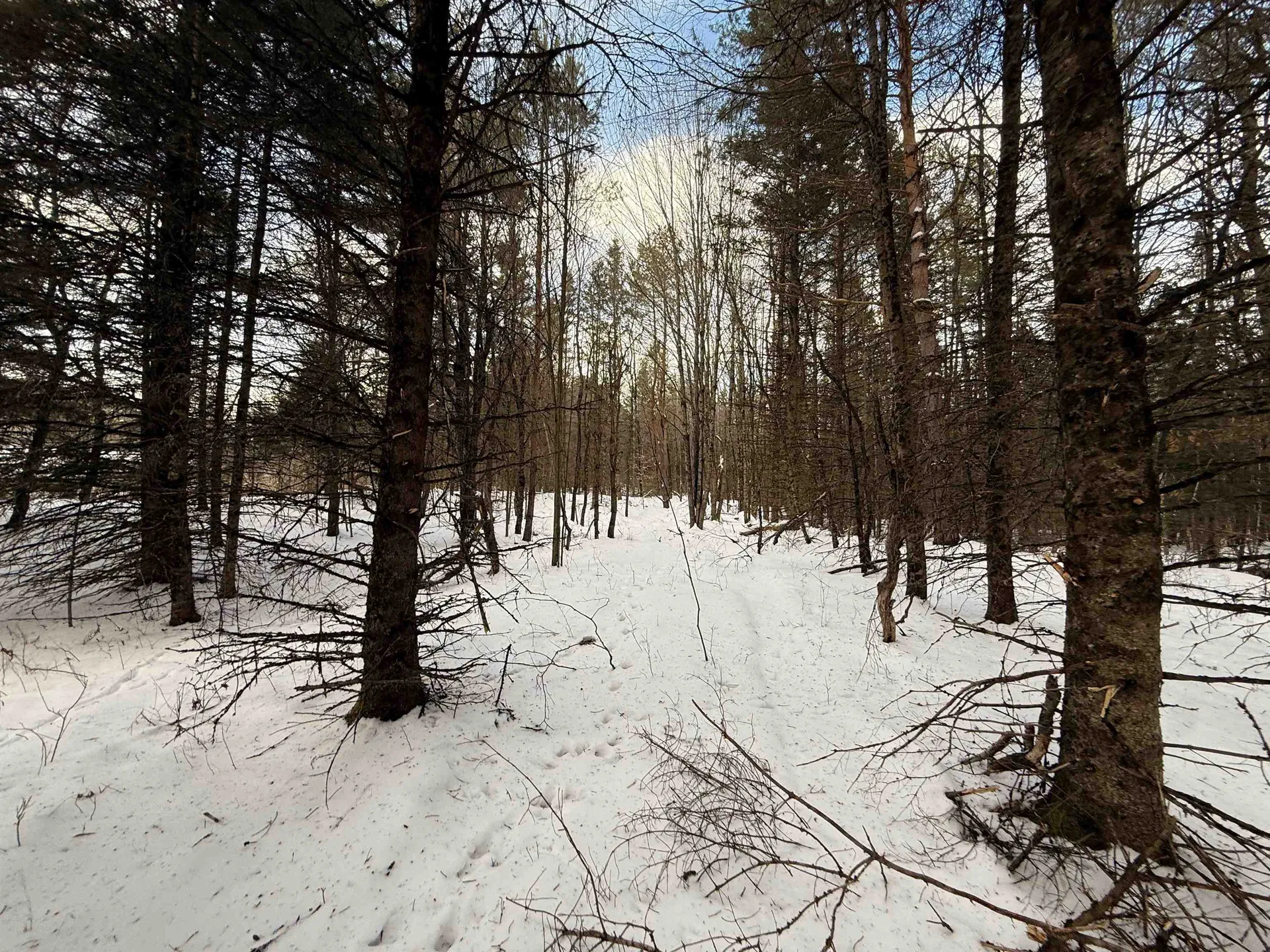 000 Darling Hill Road Lyndon VT 05849