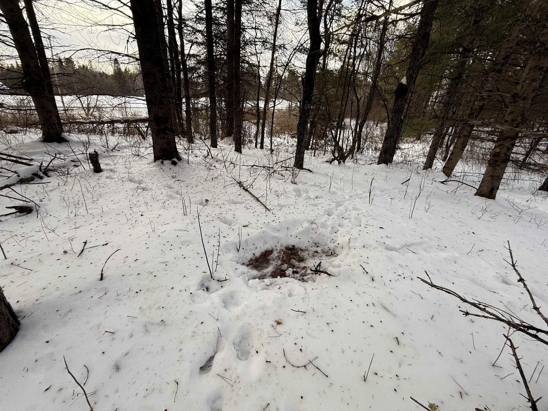 000 Darling Hill Road Lyndon VT 05849