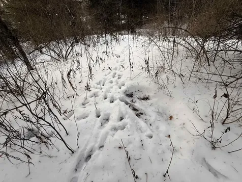 000 Darling Hill Road Lyndon VT 05849